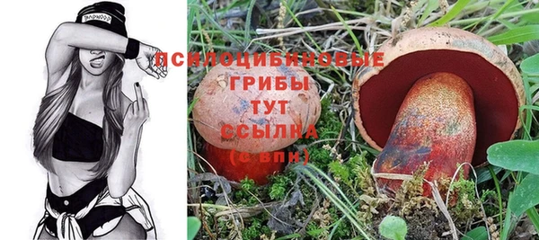 круглые Белокуриха