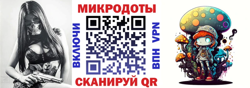 Псилоцибиновые грибы Psilocybine cubensis  Ухта 